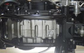 FANTIC SCRAMBLER250 2003