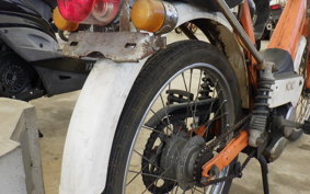 HONDA NOVIO 2025 PM50
