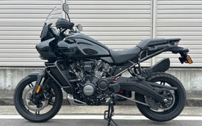 HARLEY PAN AMERICA 1250 SPECIAL 2023 ZES