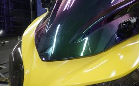 KAWASAKI NINJA 250 EX250L