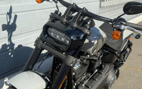 HARLEY FXFBS 2025 YLK