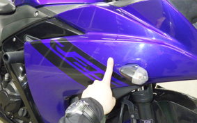 YAMAHA YZF-R25 RG43J