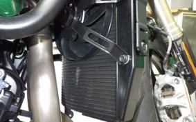 KAWASAKI ZH2 SE 2008 ZRT00R