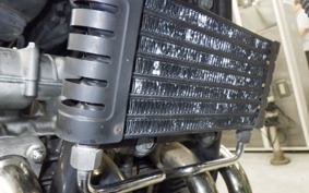 KAWASAKI ZEPHYR 750 RS 2025 ZR750D