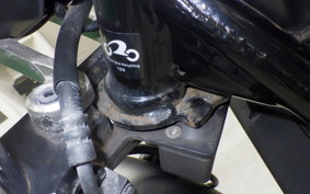 HONDA REBEL 250 2020 MC49