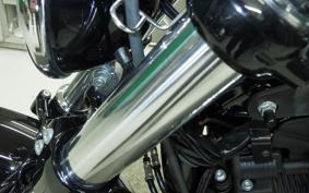 HARLEY XL1200XS 2019