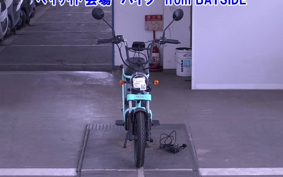 OTHER MINI BIKE