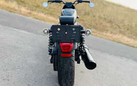 HARLEY RH975S NIGHT STAR 2024 ZF1
