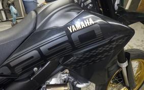 YAMAHA WR250X 2007 DG15J