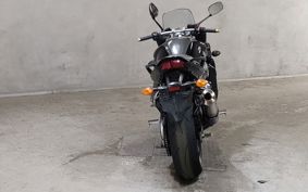 YAMAHA FZ1 FAZER 2008 RN17