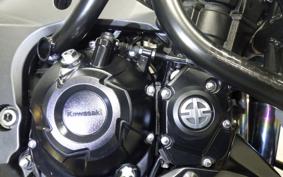 KAWASAKI Z1000 Gen.5 2021 ZXT00W