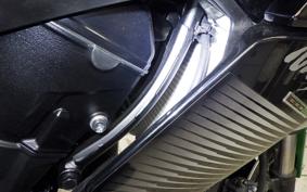 KAWASAKI NINJA 1000 SX 2024 ZXT02K