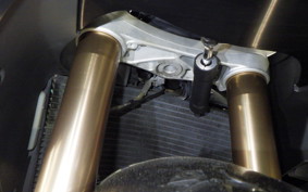 TRIUMPH DAYTONA 675 ABS 2015