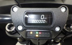 HARLEY FXLRST1920 2025