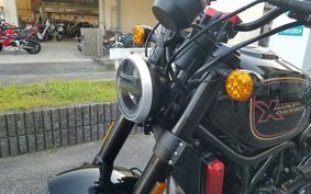 HARLEY X500 2024 W5B