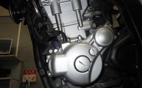 YAMAHA WR250X 2007 DG15J