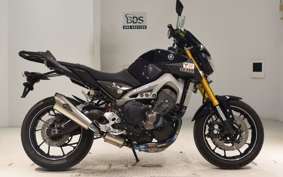 YAMAHA MT-09 2014 RN34J