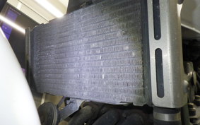 HONDA HORNET 250 2024 MC31