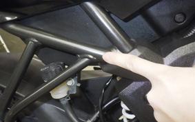 KAWASAKI NINJA 250 SL BX250A