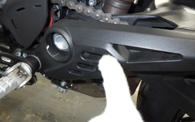 DUCATI SCRAMBLER ICON 2023