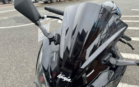 KAWASAKI NINJA 250 EX250L