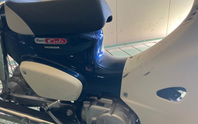 HONDA SUPER CUB50 AA09