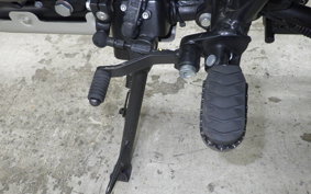 OTHER +ENFIELD ﾋﾏﾗﾔﾝ 2024