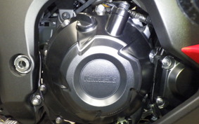 KAWASAKI NINJA 1000SX 2024 ZXT02K