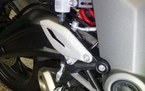 TRIUMPH DAYTONA660 2025