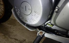 KAWASAKI SUPER SHERPA 2022 KL250G