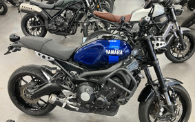 YAMAHA XSR900 2019 RN56J