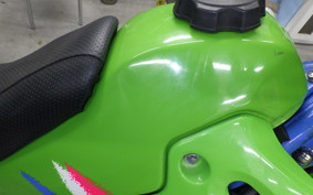 KAWASAKI KDX250SR 2013 DX250F