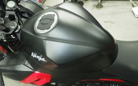 KAWASAKI NINJA 250 2 2008 EX250P