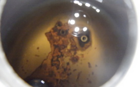 HONDA C50 SUPER CUB AA01