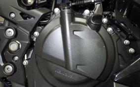 KAWASAKI NINJA 250 EX250P