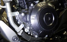 SUZUKI Vｽﾄﾛｰﾑ250A 2009