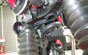 HONDA CT125 HUNTER CUB JA55