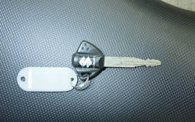 SUZUKI Vｽﾄﾛｰﾑ250A 2026