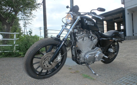 HARLEY XL883 2004 CAM