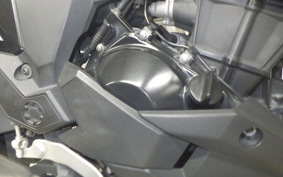 KAWASAKI VERSYS-X 250 A 2024 LE250D