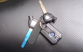 SUZUKI SKYWAVE 250SS CJ43A