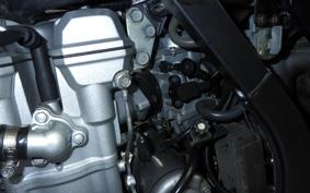 KAWASAKI KLX250D TRACKER LX250E