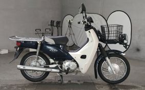 HONDA SUPER CUB110 JA10