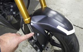 KAWASAKI Z125 PRO 2012 BR125H