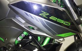KAWASAKI Z250 Gen.2 EX250Y