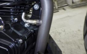 OTHER +GPX GTM250R 2017