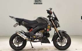KAWASAKI Z125 PRO 2023 BR125H