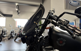 HARLEY XL883N IRON 2014 LE2
