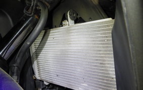 YAMAHA YZF-R25 2017 RG10J