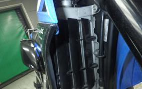 KAWASAKI KLX250D TRACKER X 2019 LX250V